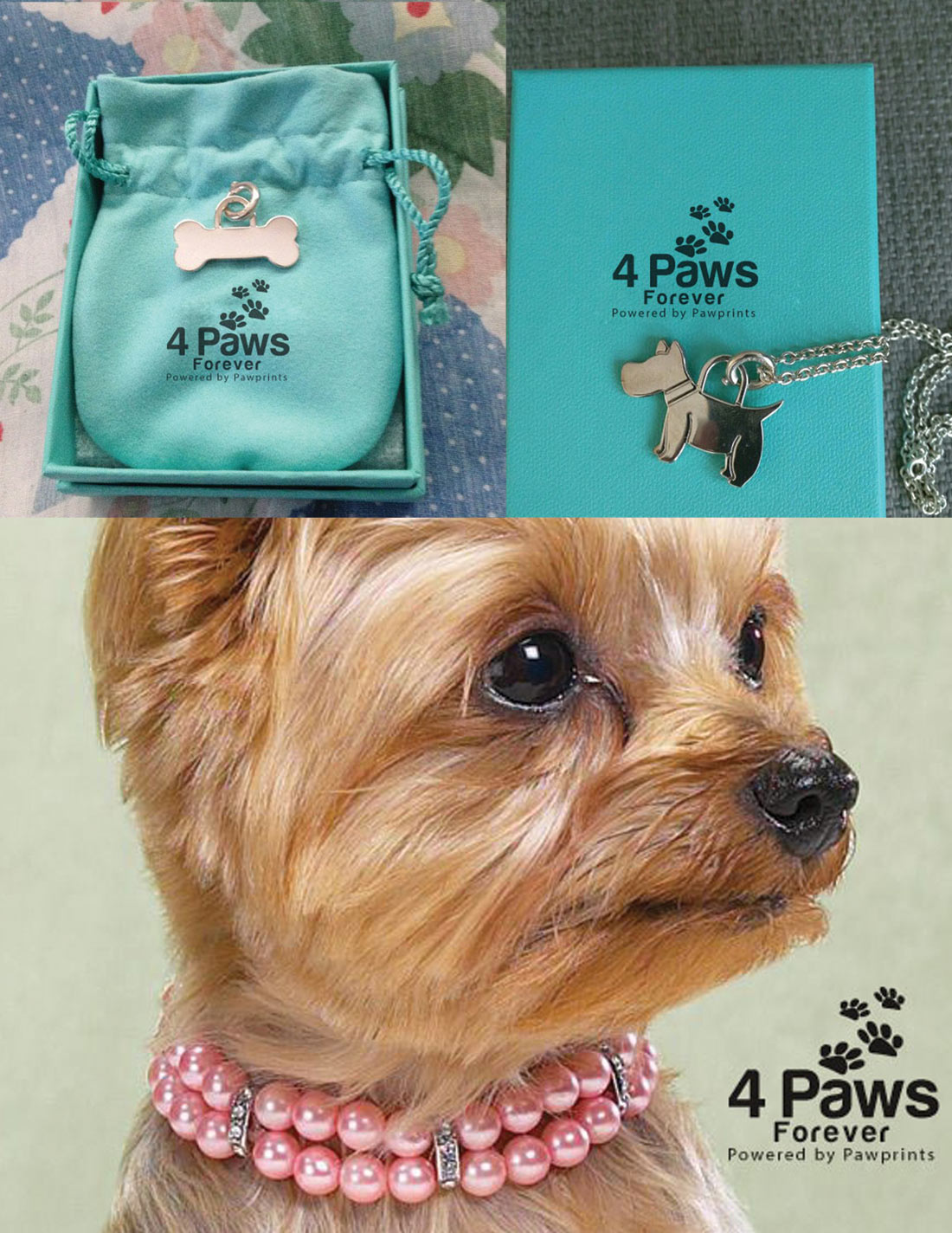 Logo Design by zebronicgraphic for this project | Design #16799703