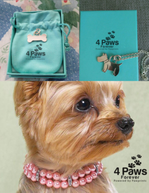 Logo Design by zebronicgraphic for this project | Design: #16799703