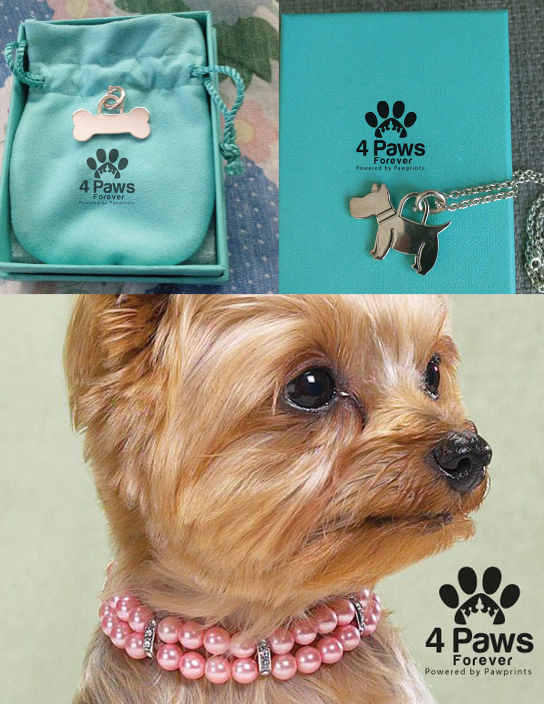 Logo Design by zebronicgraphic for this project | Design #16799704