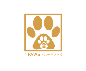 Logo Design by luSOLUTIONS