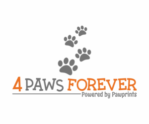 Logo Design by Rubber Branding