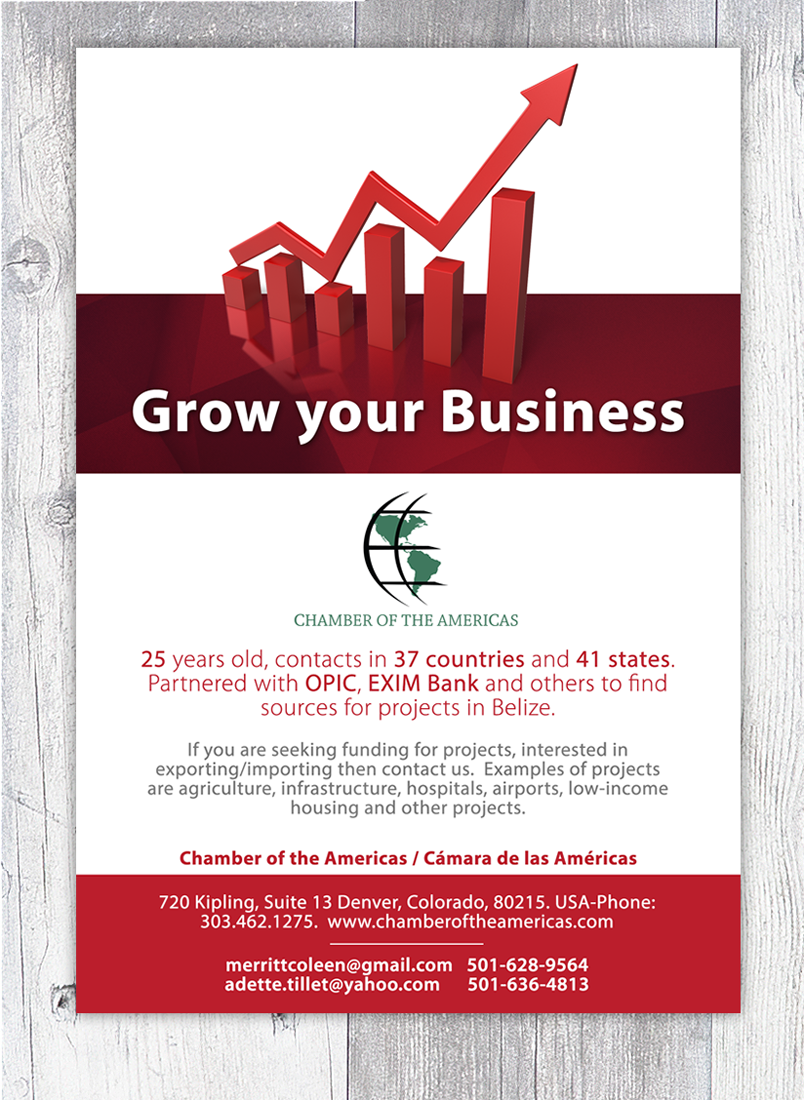 Flyer Design by Victor_pro for this project | Design #16806733