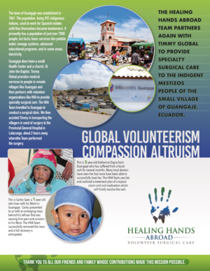 Newsletter Design by Akhter Rasool for Healing Hands Abroad | Design: #16827922