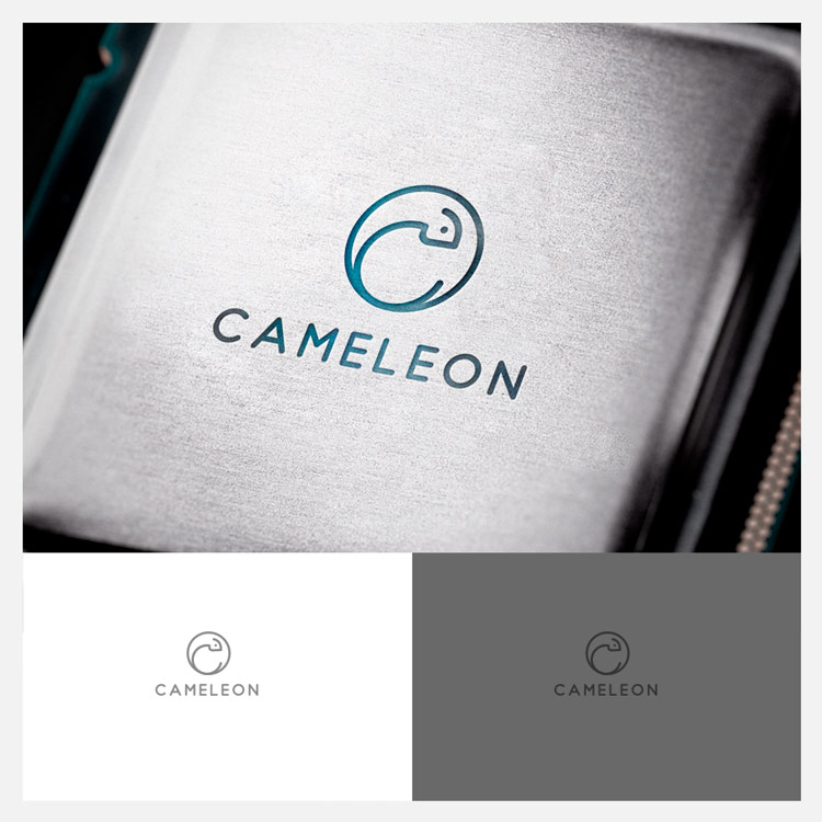 Logo Design by madeli for Roto Wash | Design #16801701