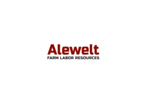 Alewelt | Logo Design by nzvm