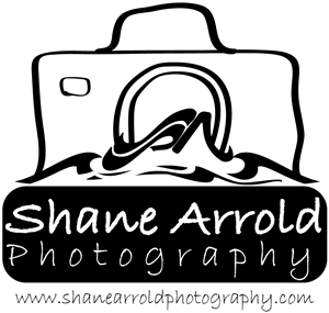 Logo Design by Maran123