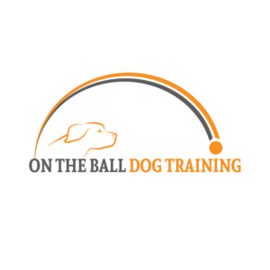 Logo Design by Archaeologo