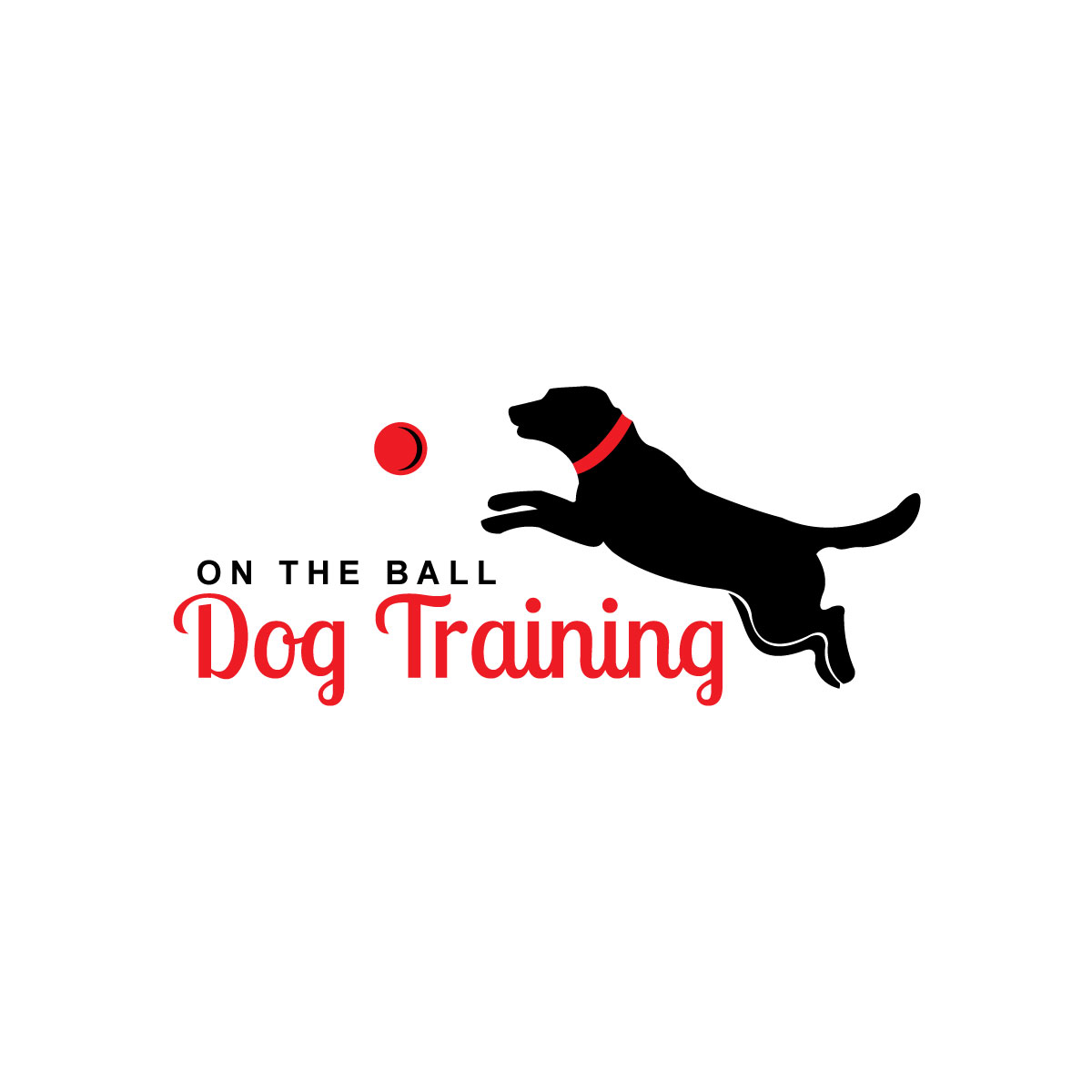 on the ball dog training