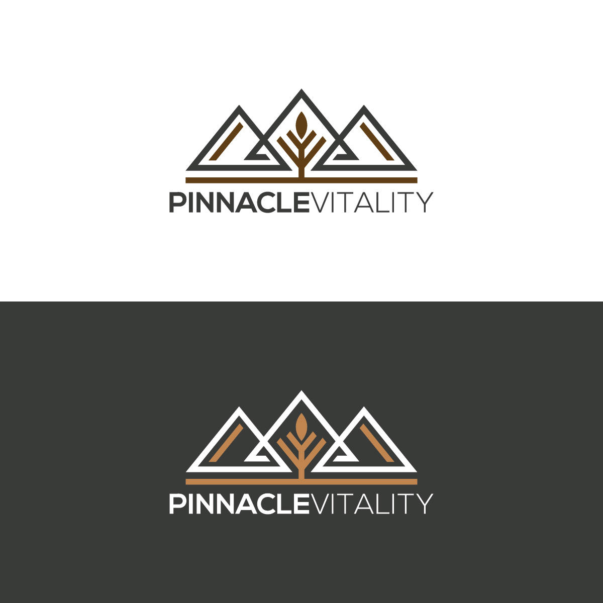 Logo Design by 3Guys for this project | Design #16825611