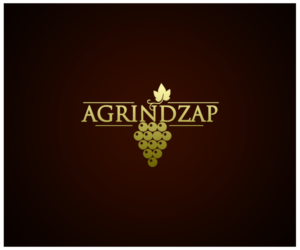 Logo Design by ishan perera