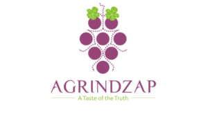 Logo Design by Fuji1105 2