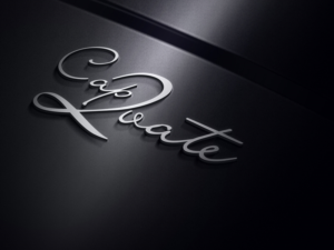 Design de Logo par GaryMckinnon pour Frocks Entertainment | Design : #16841496