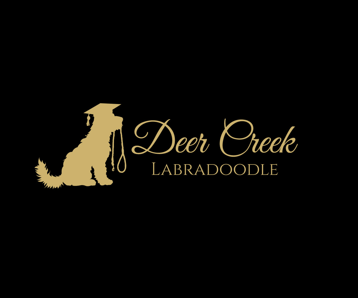 Logo Design by Sergio Coelho for Deer Creek labradoodles | Design #16950476