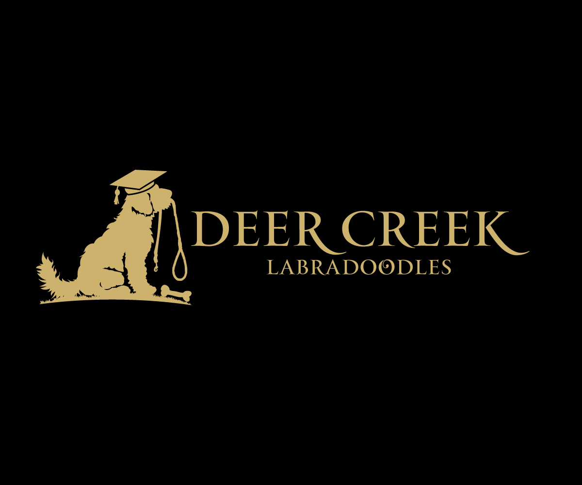 Logo Design by Sergio Coelho for Deer Creek labradoodles | Design #16985219