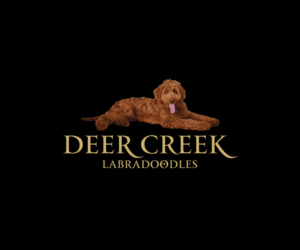 Design de Logo par Sergio Coelho pour Deer Creek labradoodles | Design : #16989833