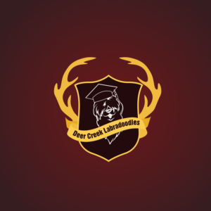 Logo Design by kishorepk