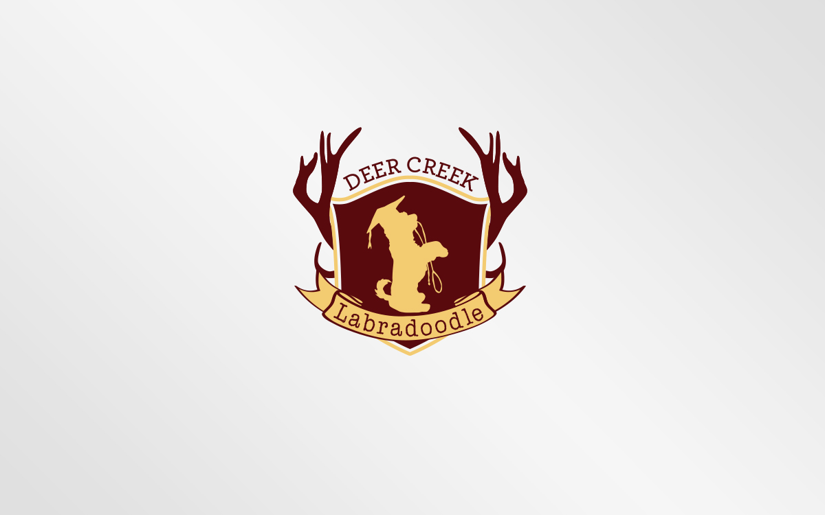 Logo Design by Grafactory for Deer Creek labradoodles | Design #16874428