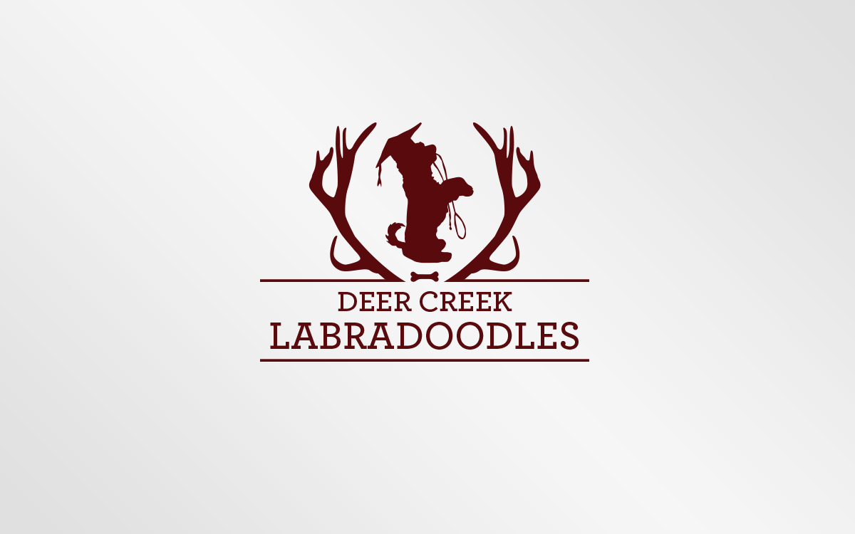 Logo Design by Grafactory for Deer Creek labradoodles | Design #16874704