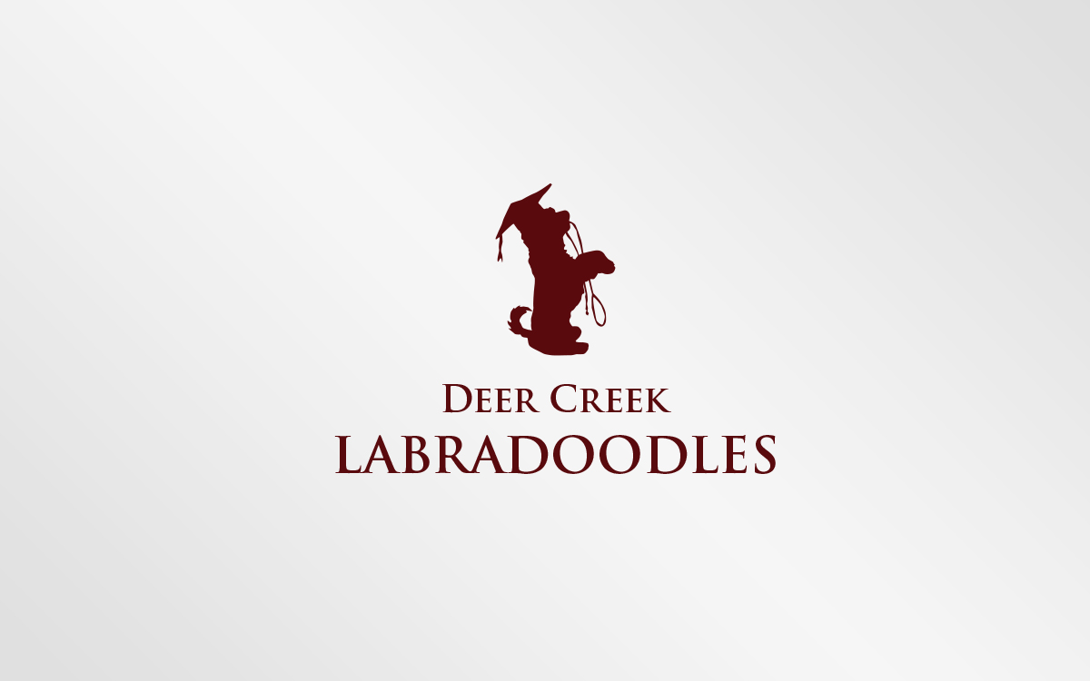 Logo Design by Grafactory for Deer Creek labradoodles | Design #16906330
