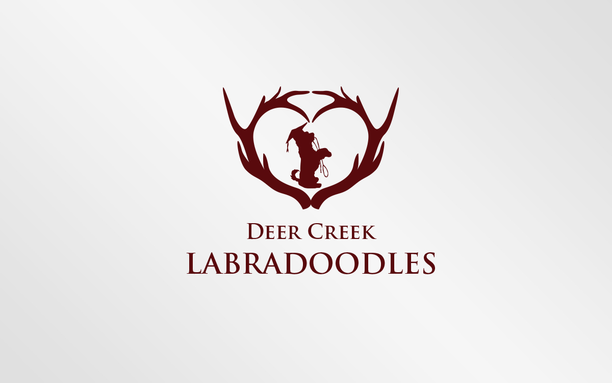 Logo Design by Grafactory for Deer Creek labradoodles | Design #16906331