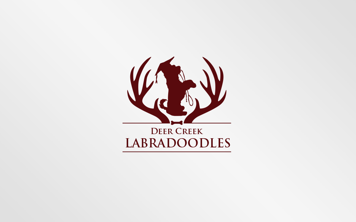 Logo Design by Grafactory for Deer Creek labradoodles | Design #16908842