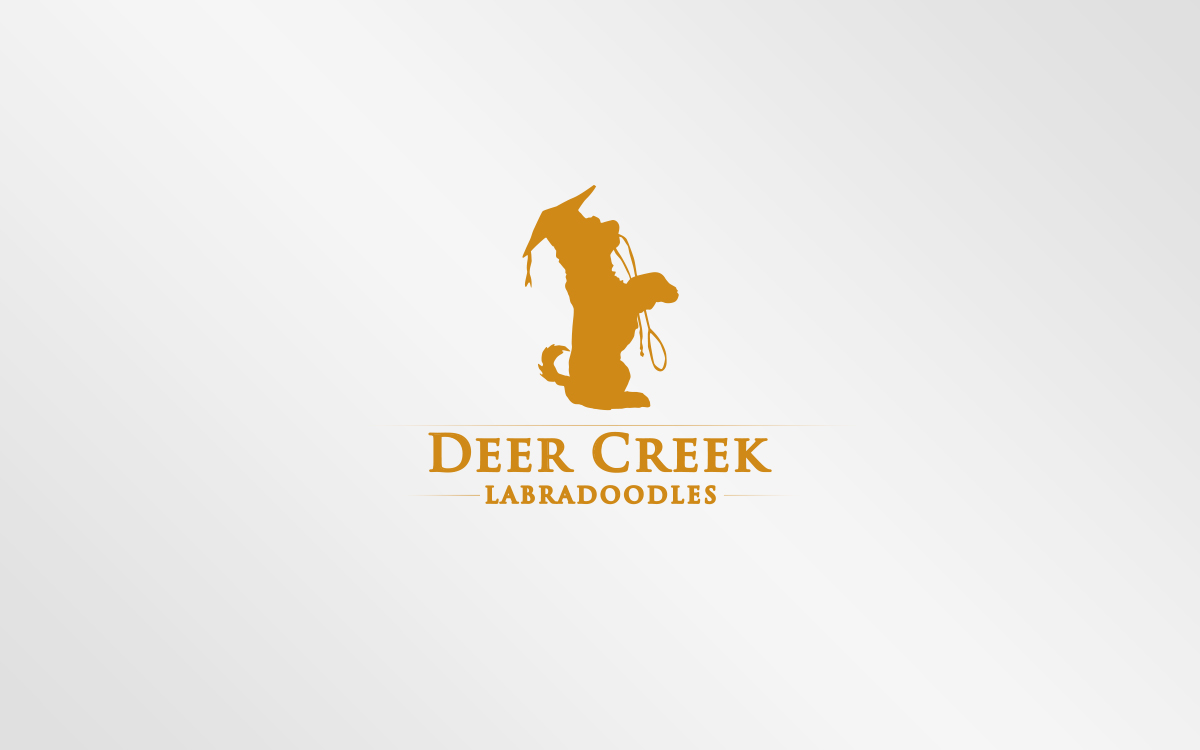 Logo Design by Grafactory for Deer Creek labradoodles | Design #16935578