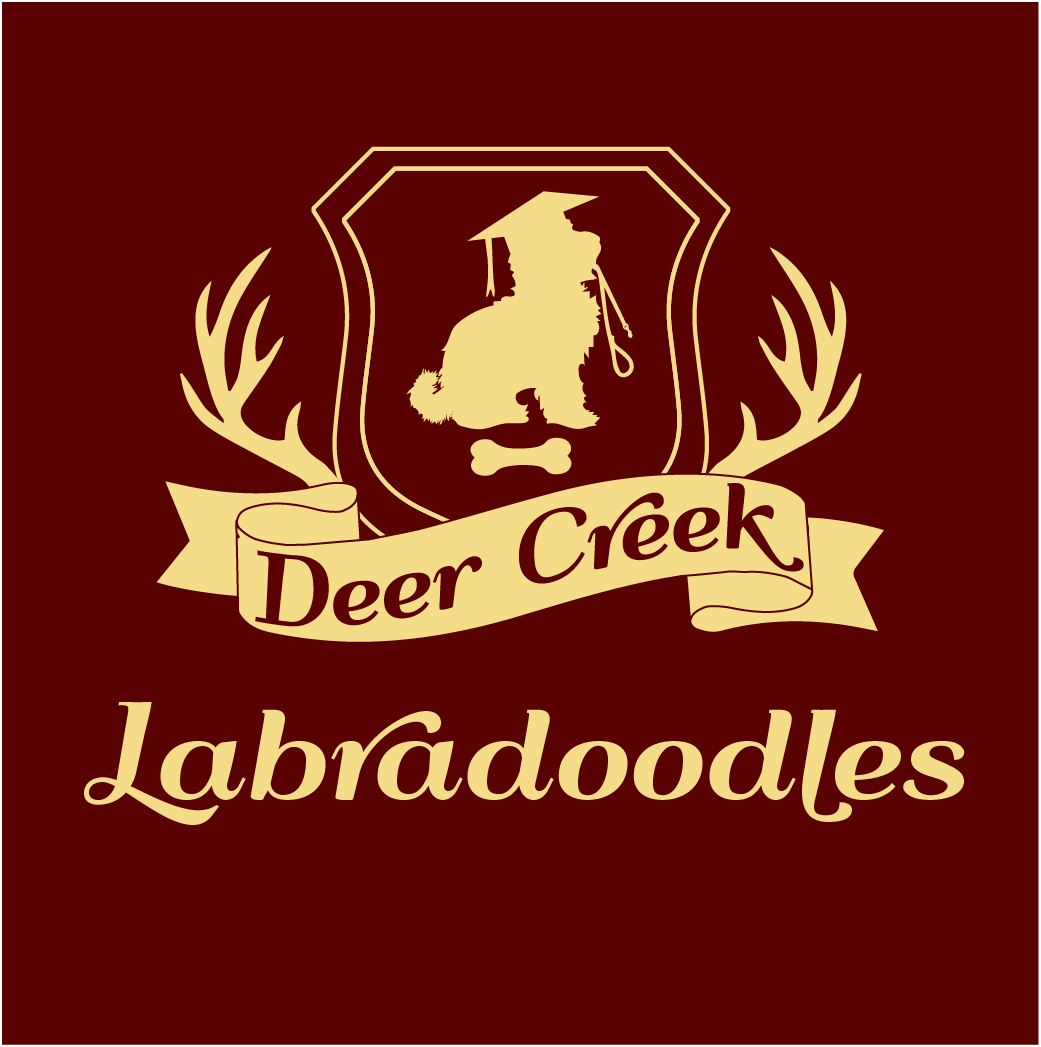 Logo Design by Archaeologo for Deer Creek labradoodles | Design #16867794