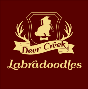 Logo Design by Archaeologo for Deer Creek labradoodles | Design: #16867794
