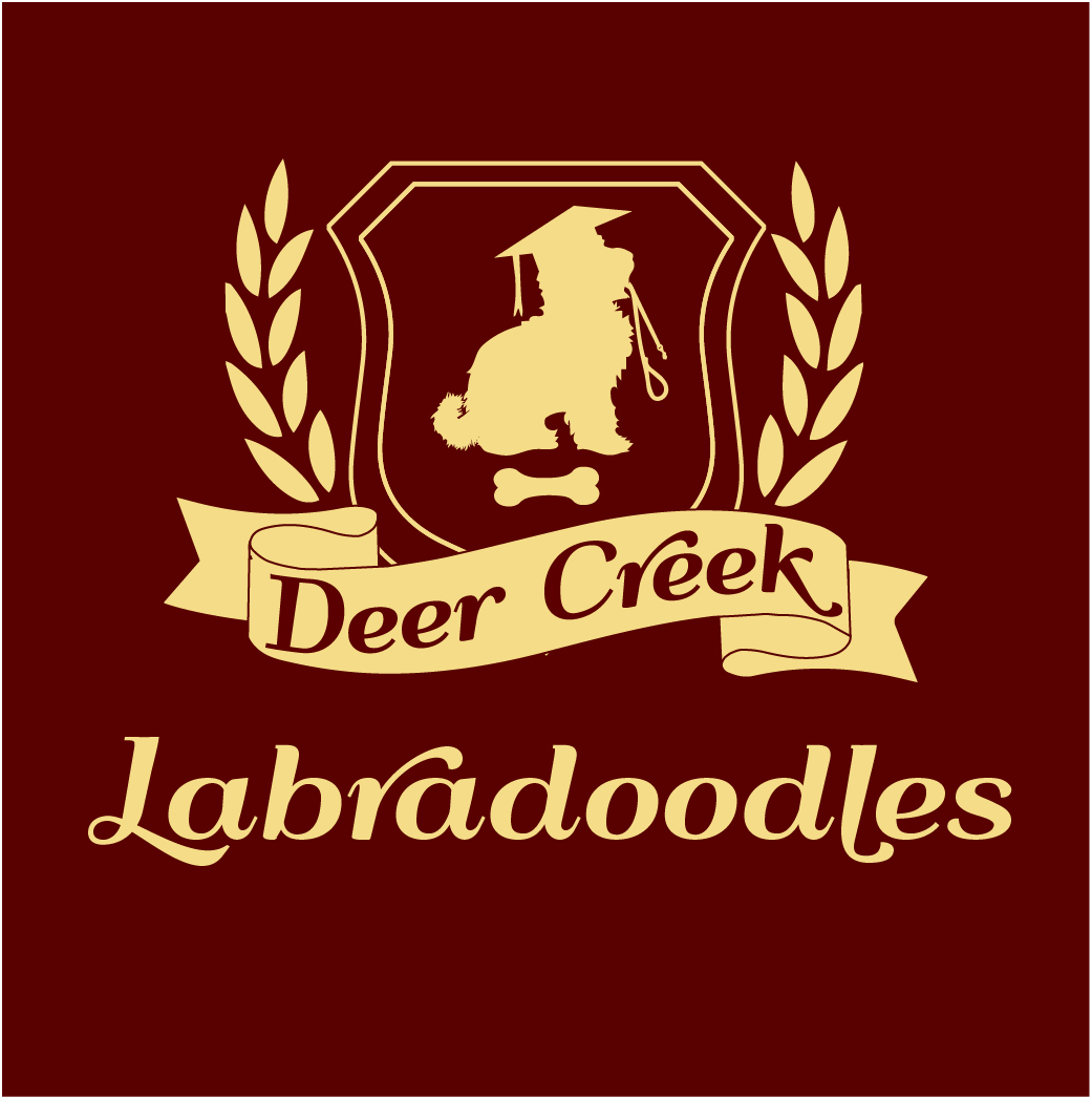 Logo Design by Archaeologo for Deer Creek labradoodles | Design #16867795