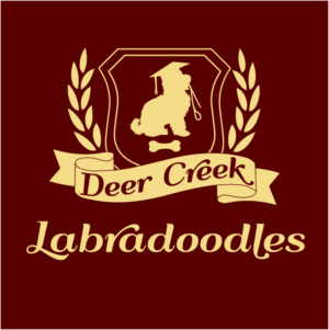 Design de Logo par Archaeologo pour Deer Creek labradoodles | Design : #16867795