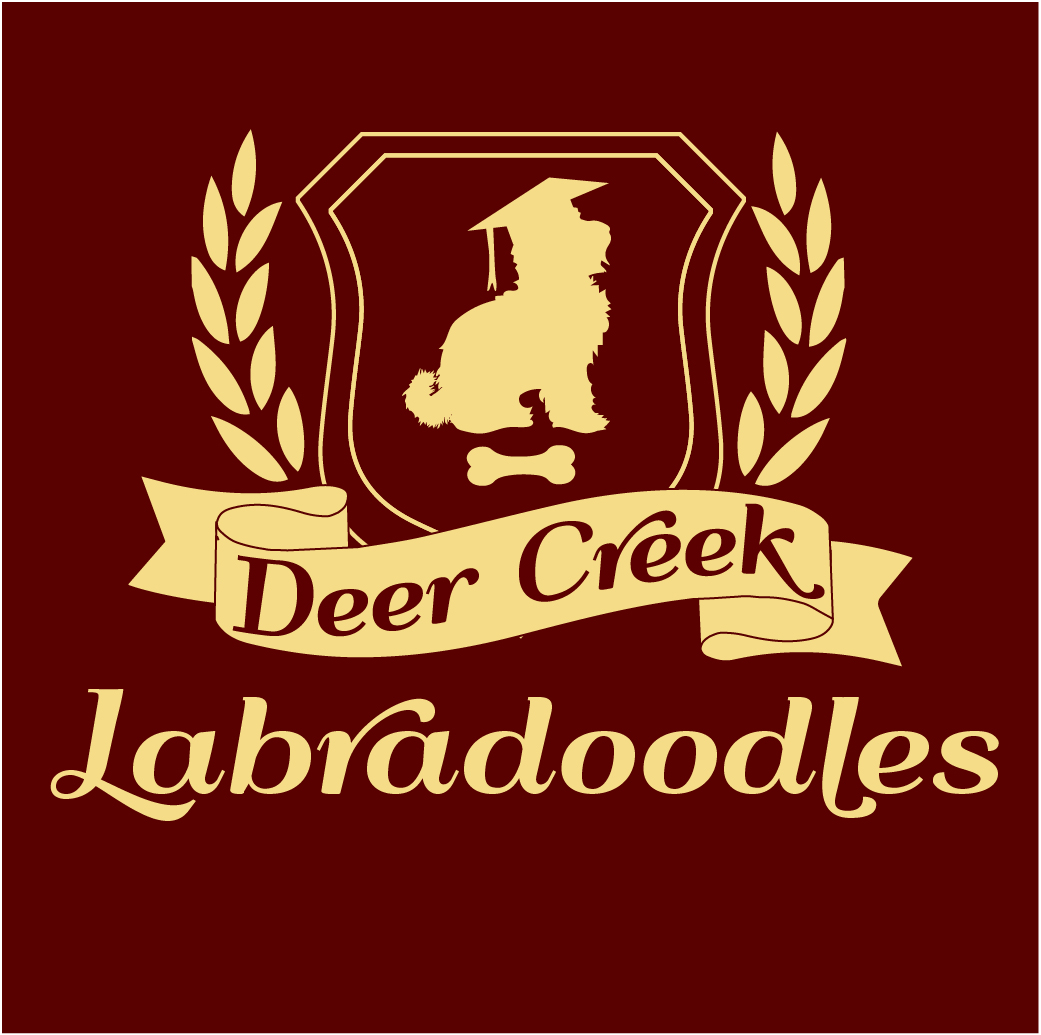 Logo Design by Archaeologo for Deer Creek labradoodles | Design #16867796