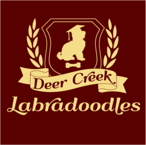 Logo Design by Archaeologo for Deer Creek labradoodles | Design: #16867796
