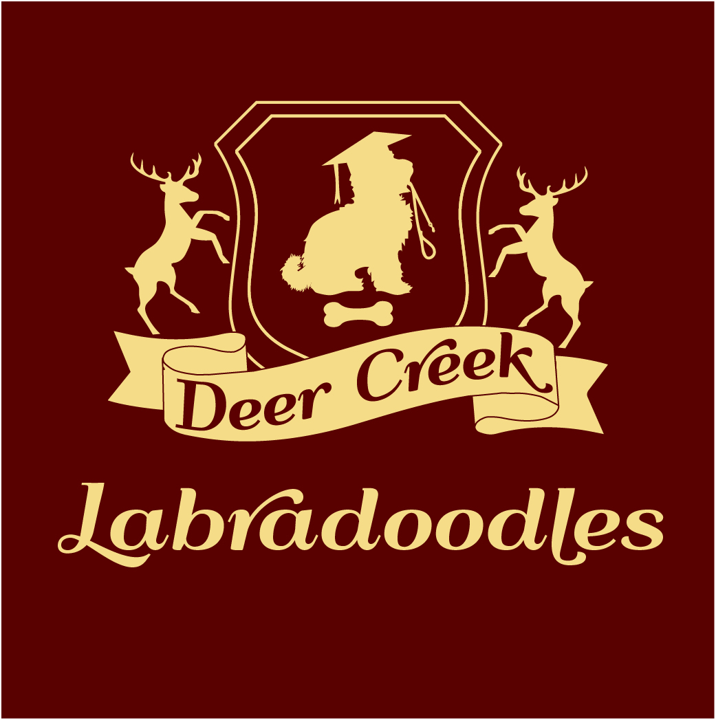 Logo Design by Archaeologo for Deer Creek labradoodles | Design #16867799