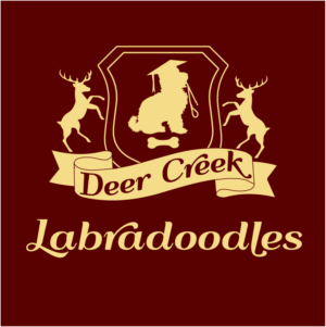 Logo Design by Archaeologo for Deer Creek labradoodles | Design: #16867799