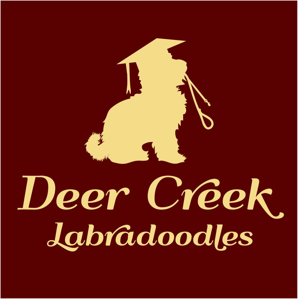 Logo Design by Archaeologo for Deer Creek labradoodles | Design #16924903