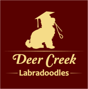 Design de Logo par Archaeologo pour Deer Creek labradoodles | Design : #16931161