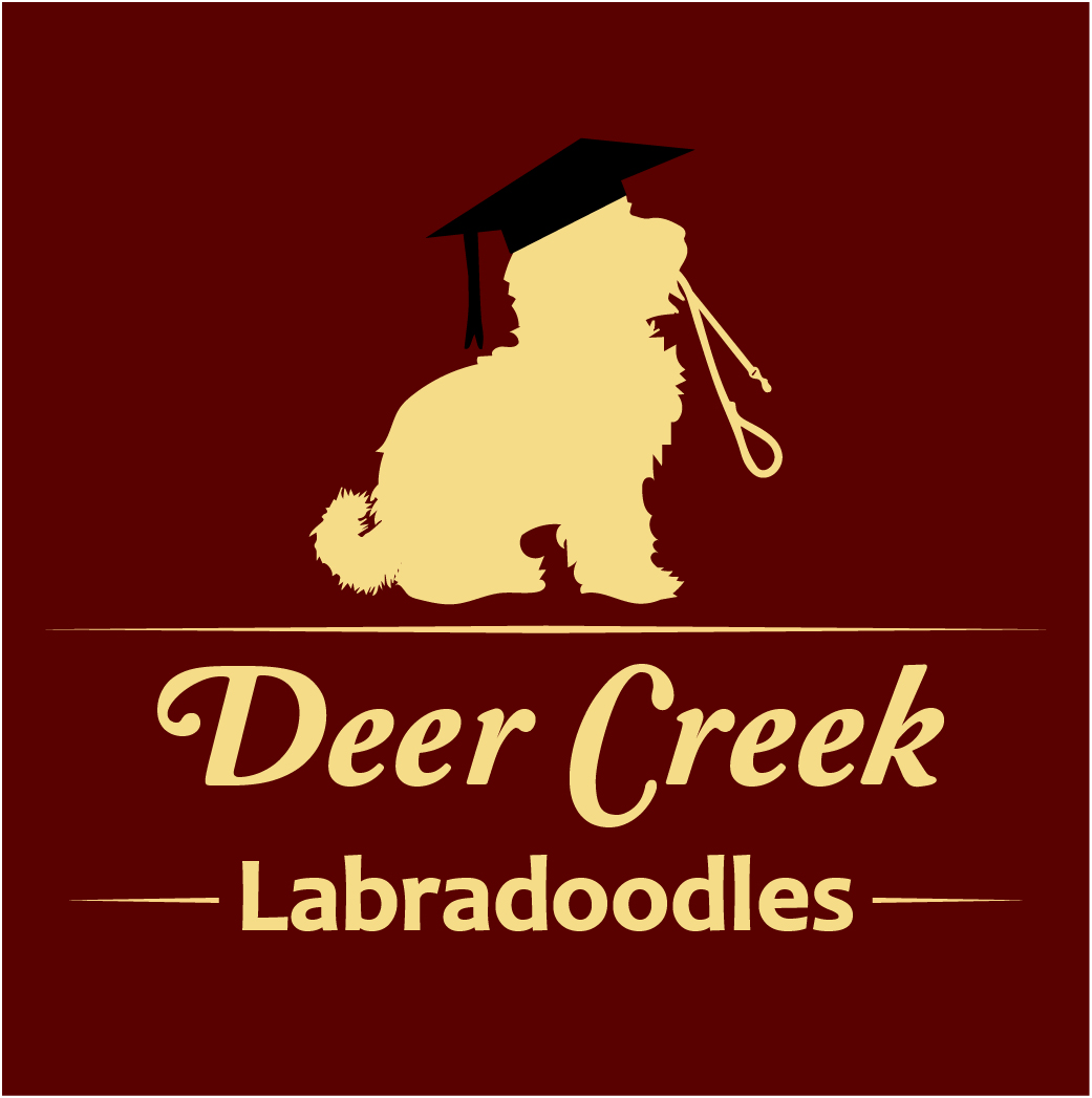 Elegant, Playful, Business Logo Design for 1st Deer Creek