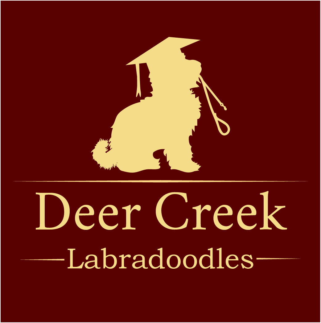 Logo Design by Archaeologo for Deer Creek labradoodles | Design #16937133