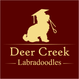 Logo Design by Archaeologo for Deer Creek labradoodles | Design: #16937134
