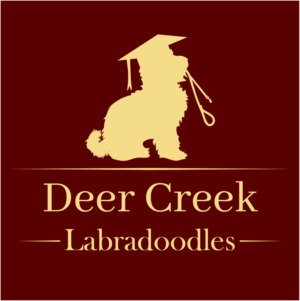Design de Logo par Archaeologo pour Deer Creek labradoodles | Design : #16937135