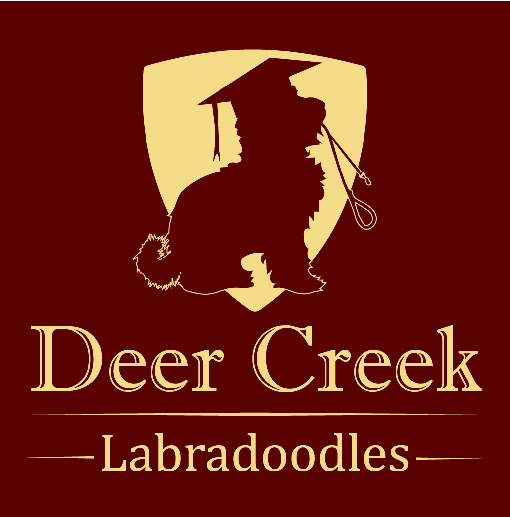 Logo Design by Archaeologo for Deer Creek labradoodles | Design #16945396