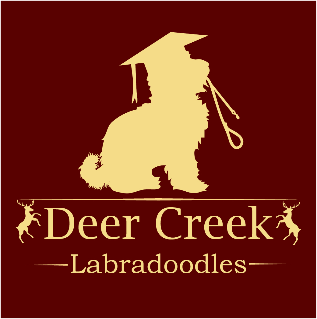Logo Design by Archaeologo for Deer Creek labradoodles | Design #16946068