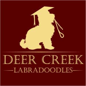 Logo Design by Archaeologo for Deer Creek labradoodles | Design #16946247
