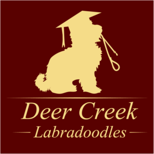 Logo Design by Archaeologo for Deer Creek labradoodles | Design: #16946418