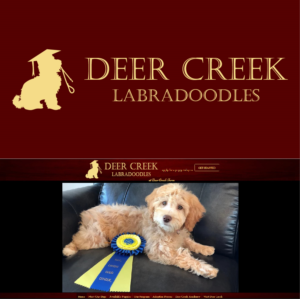 Logo Design by Archaeologo for Deer Creek labradoodles | Design: #16955135