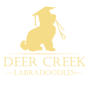 Logo Design by Archaeologo for Deer Creek labradoodles | Design: #17117255