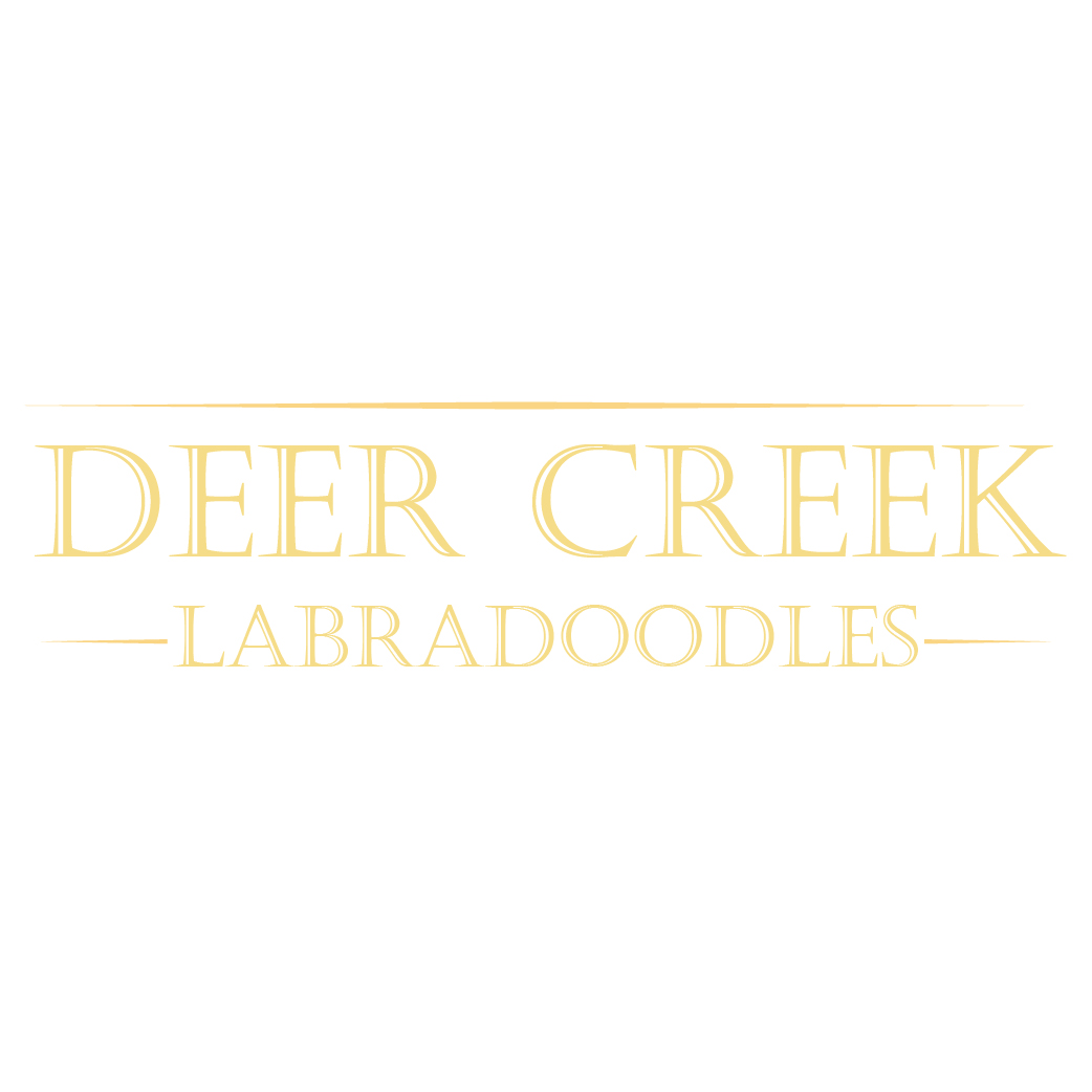 Logo Design by Archaeologo for Deer Creek labradoodles | Design #17117267