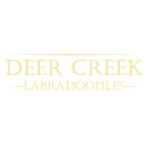 Logo Design by Archaeologo for Deer Creek labradoodles | Design: #17117267