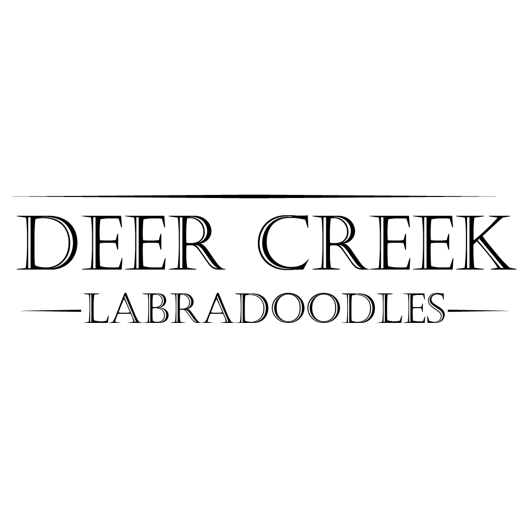 Logo Design by Archaeologo for Deer Creek labradoodles | Design #17117273