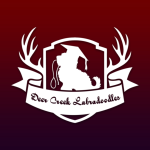 Logo Design by saiprasad18 for Deer Creek labradoodles | Design #16867642